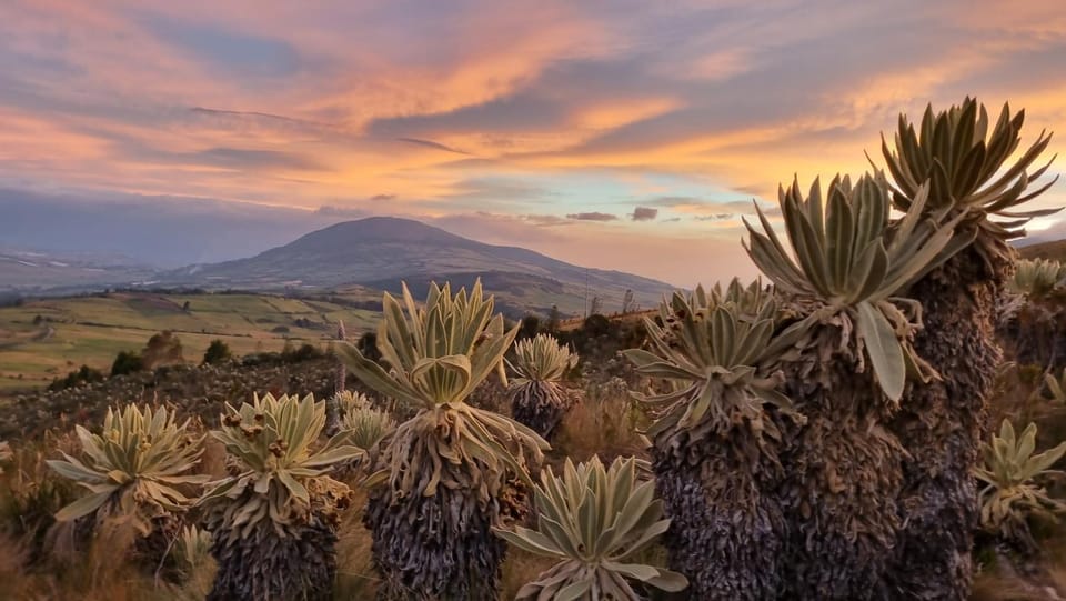 Mountain view, Sunset