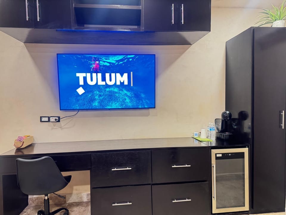 TV and multimedia