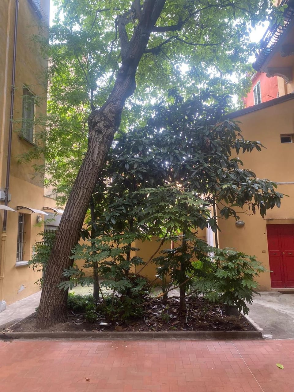 Garden, Garden view