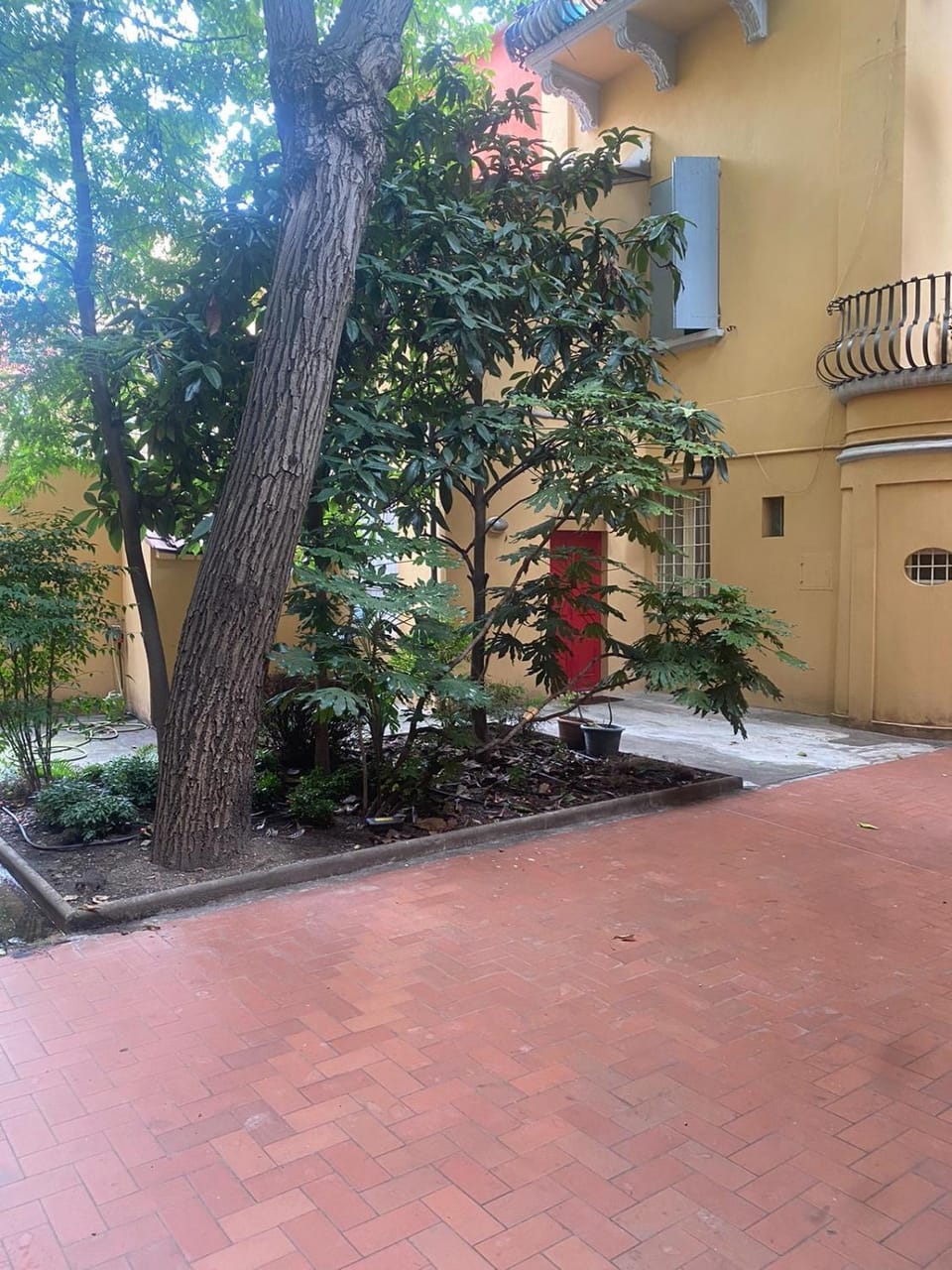 Garden, Garden view