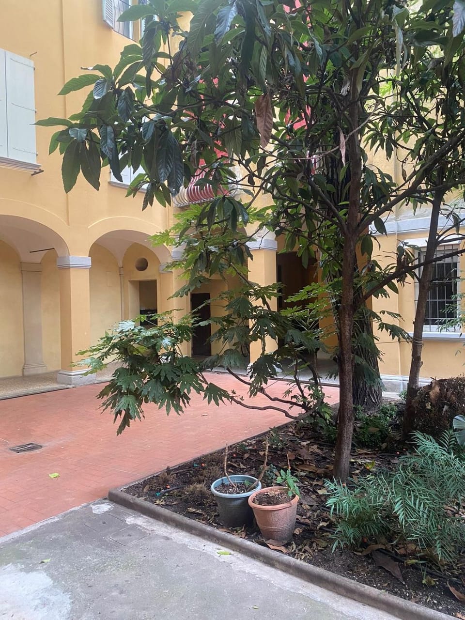 Garden, Garden view