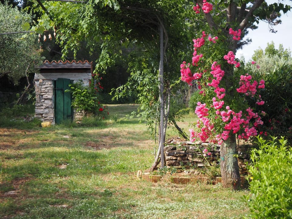 Spring, Day, Garden, Garden view