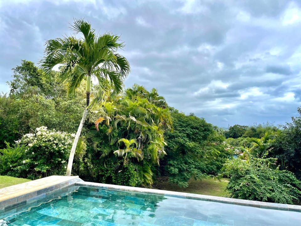 Day, Natural landscape, Garden, Pool view, Swimming pool