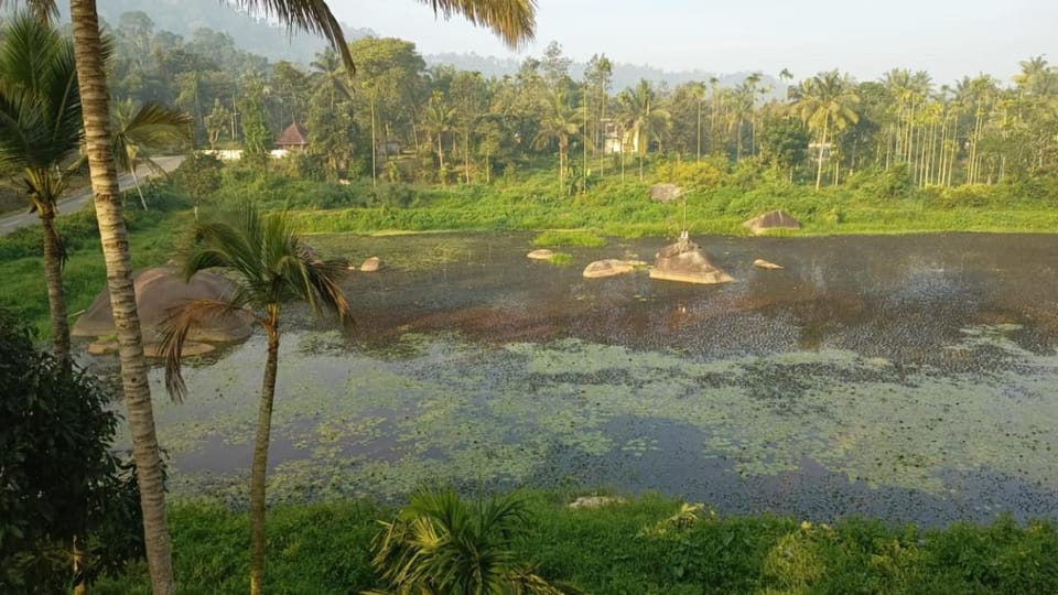 Lake view