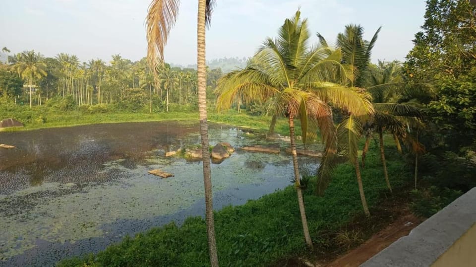 Lake view