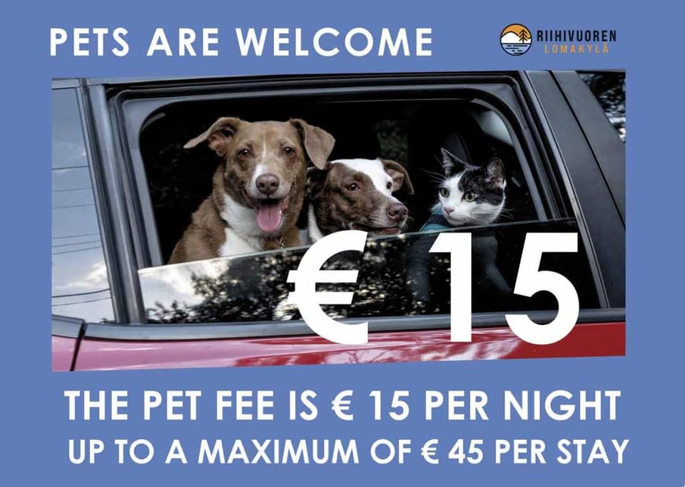 Animals, Pets, Pets, pet friendly, pet friendly