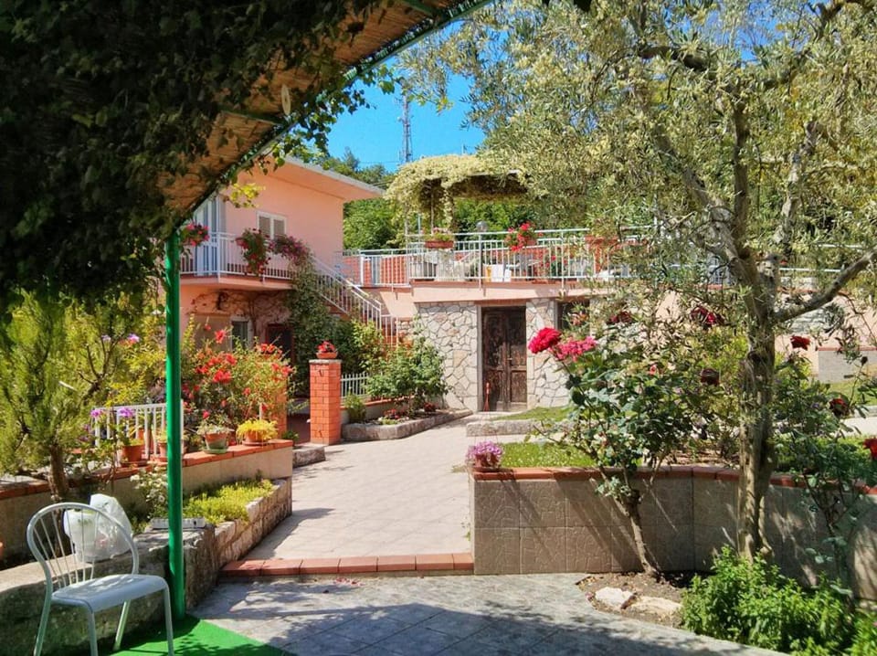 Property building, Day, Garden