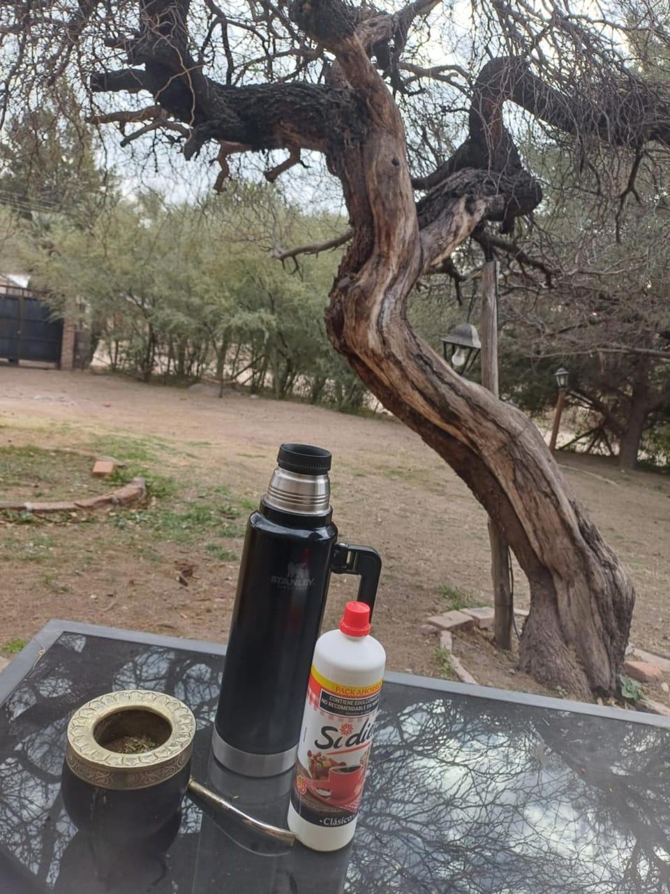 Garden view