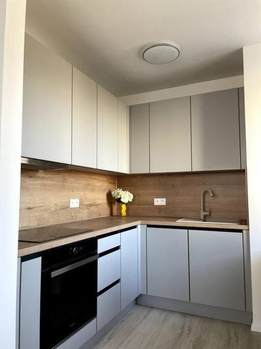 Kitchen or kitchenette, dishwasher, pet friendly, stove