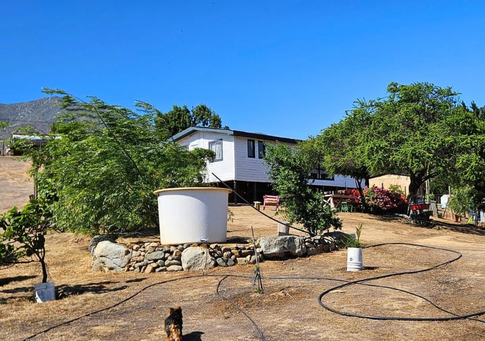 Property building, Natural landscape, Garden