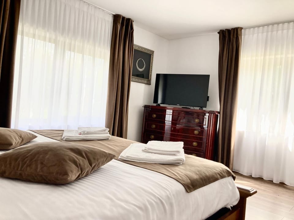 Casuta Adelina Borsa House in Romania