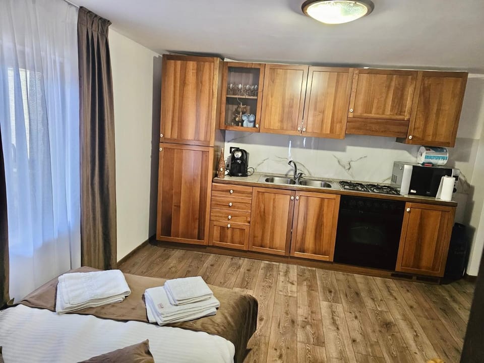 Casuta Adelina Borsa House in Romania