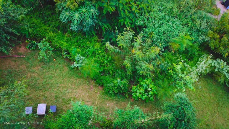 OSHO Villa Guest House Apartment in Jaipur