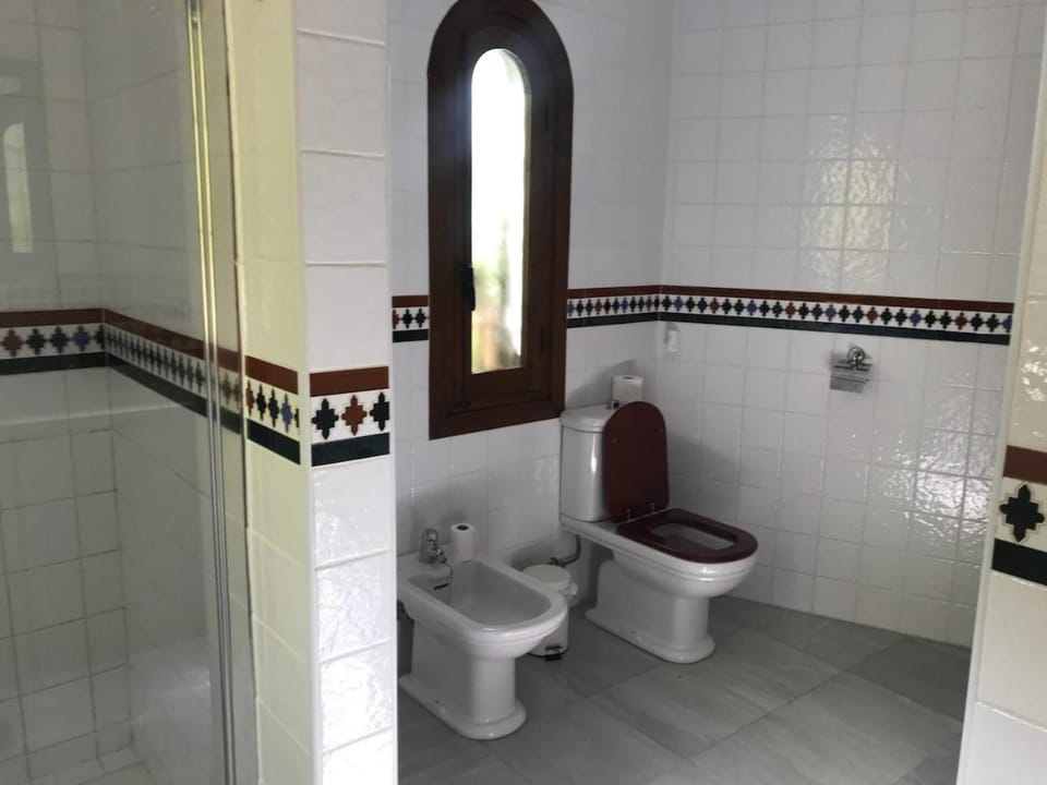 Toilet, Bathroom, bidet