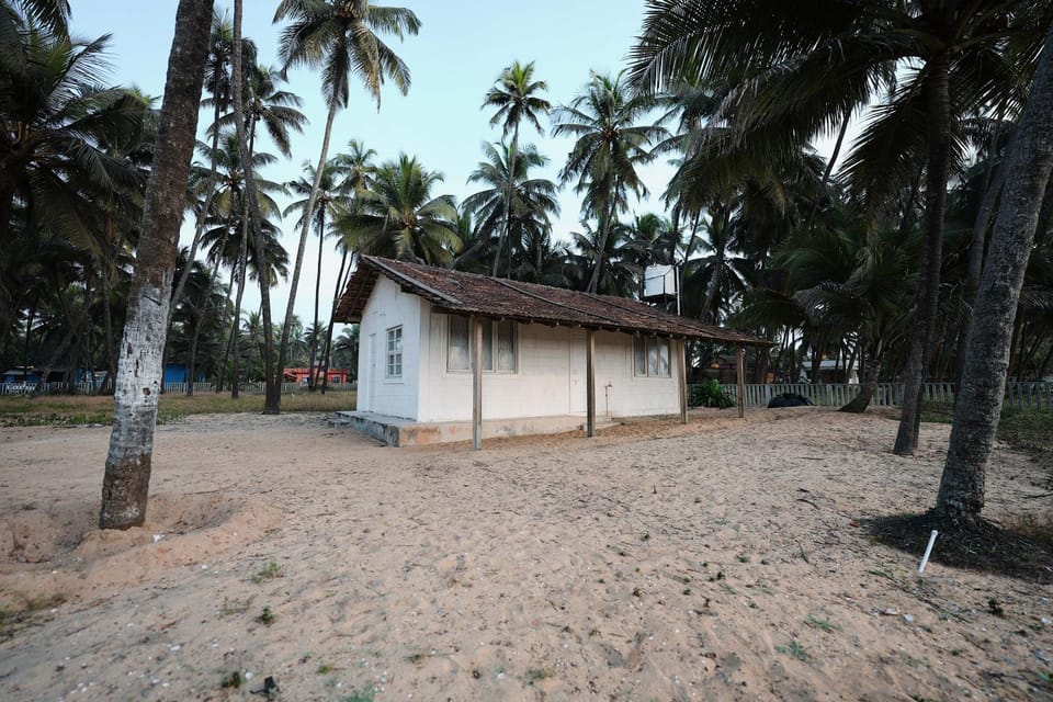 Property building, Day, Natural landscape