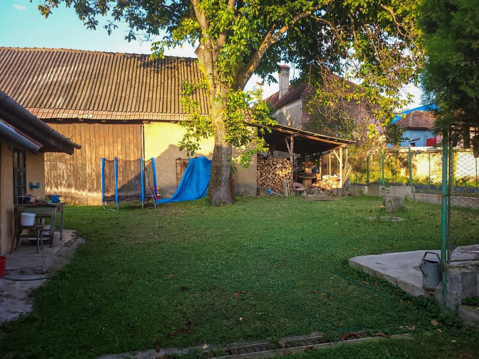 Day, Garden