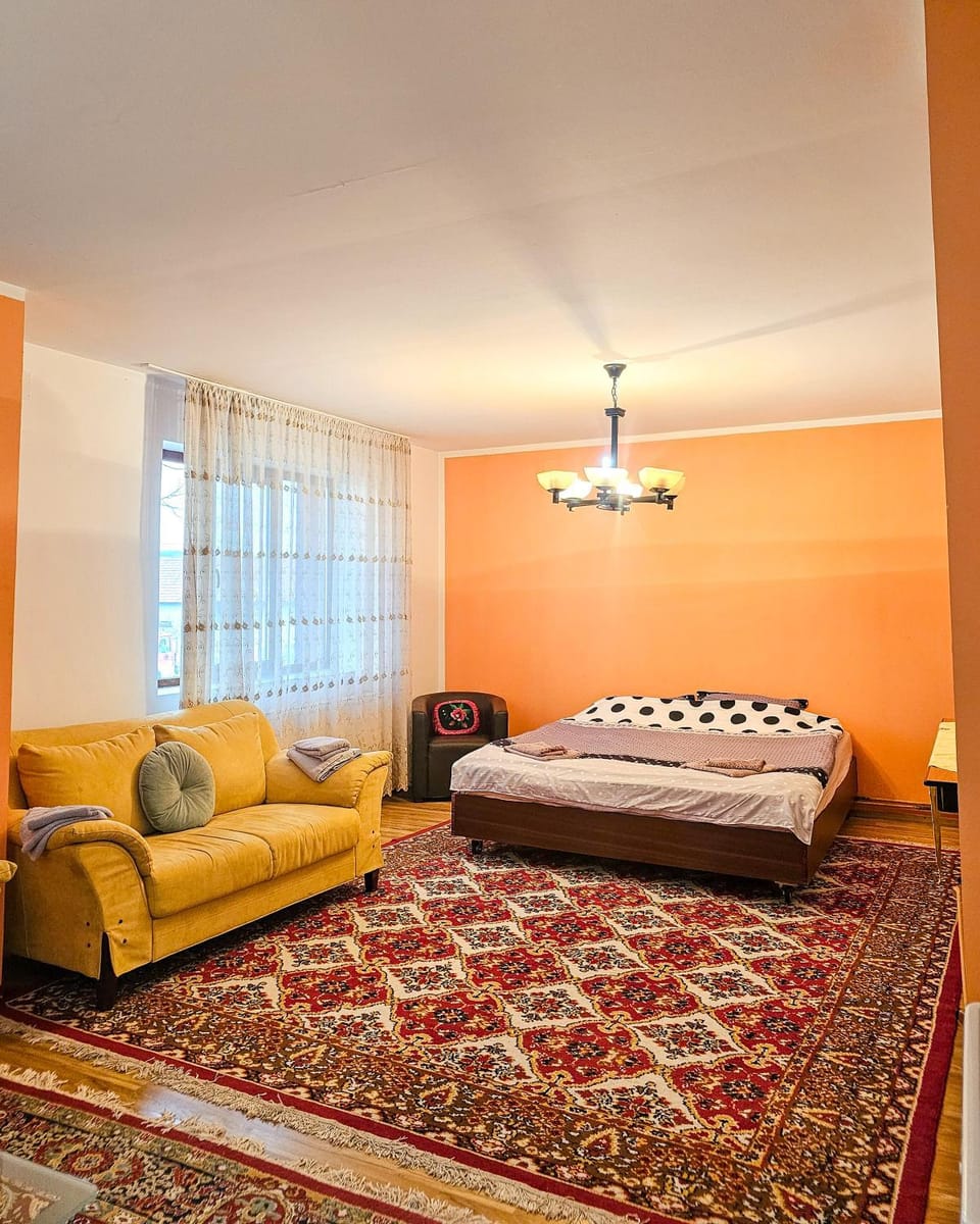 RadHouse Wellness Villa - Hot Tub & Fast WiFi Bed and Breakfast in Brașov County
