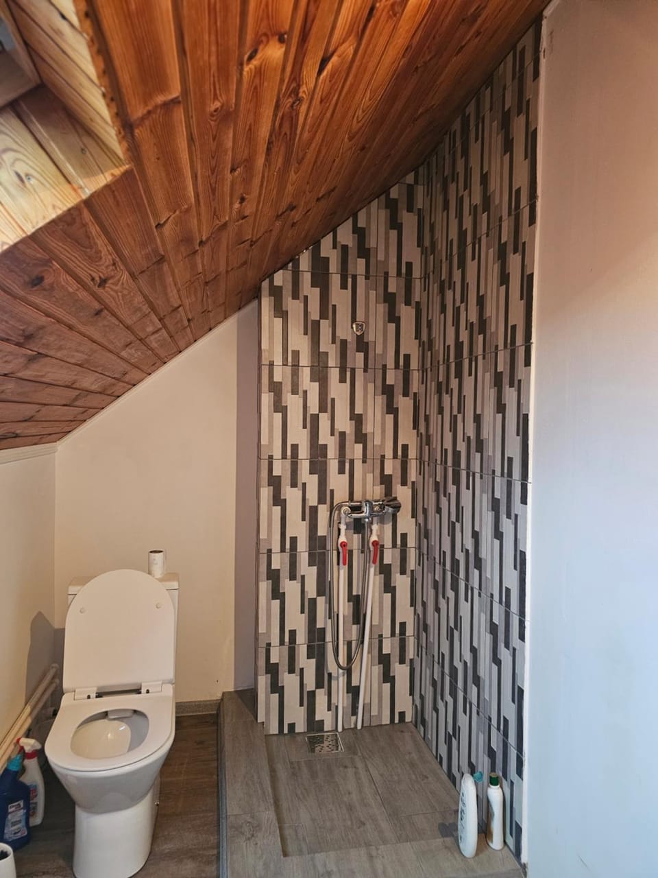 RadHouse Wellness Villa - Hot Tub & Fast WiFi Bed and Breakfast in Brașov County