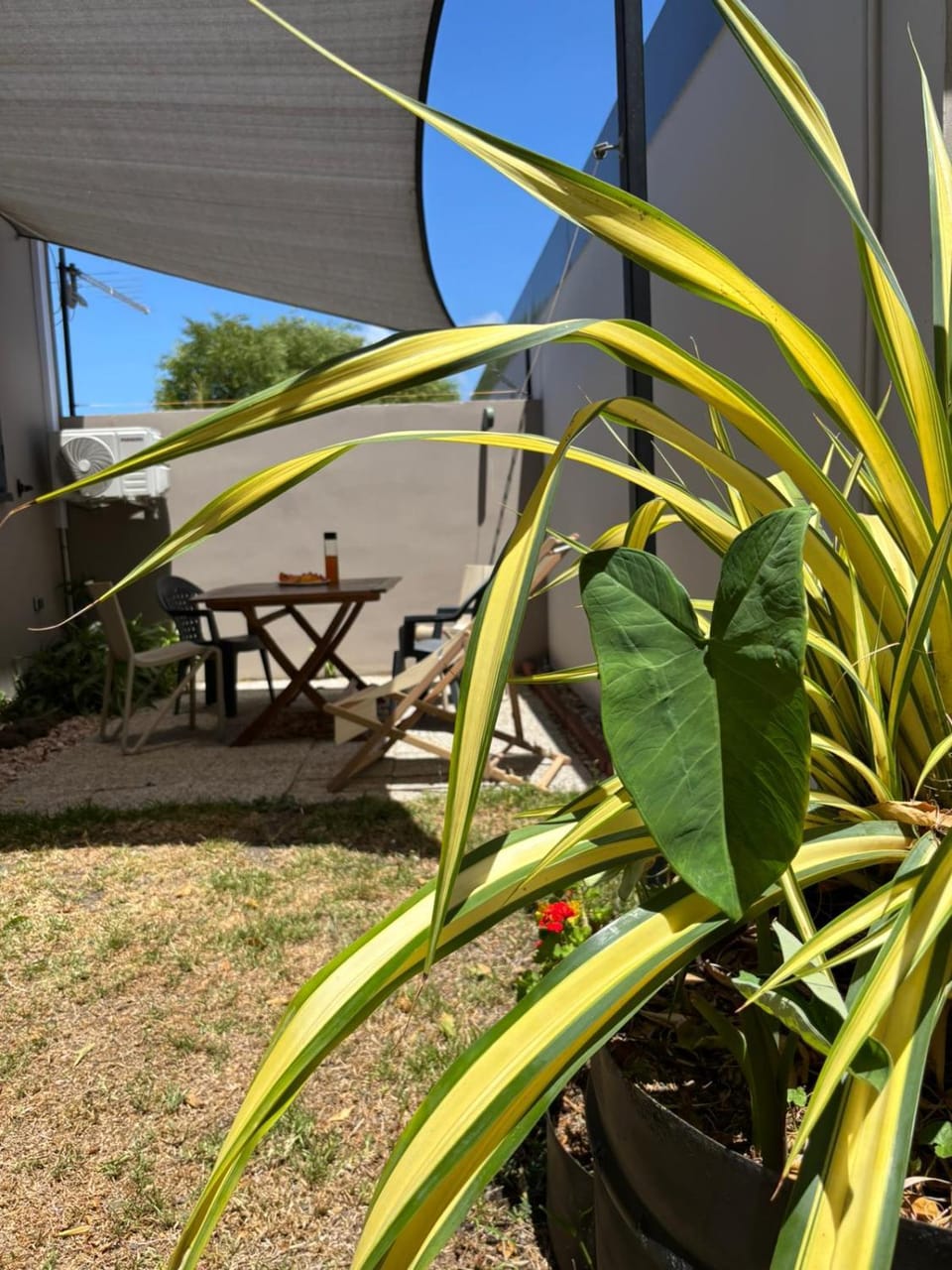 Patio, Patio, Day, Garden, Balcony/Terrace, Text overlay, Garden view
