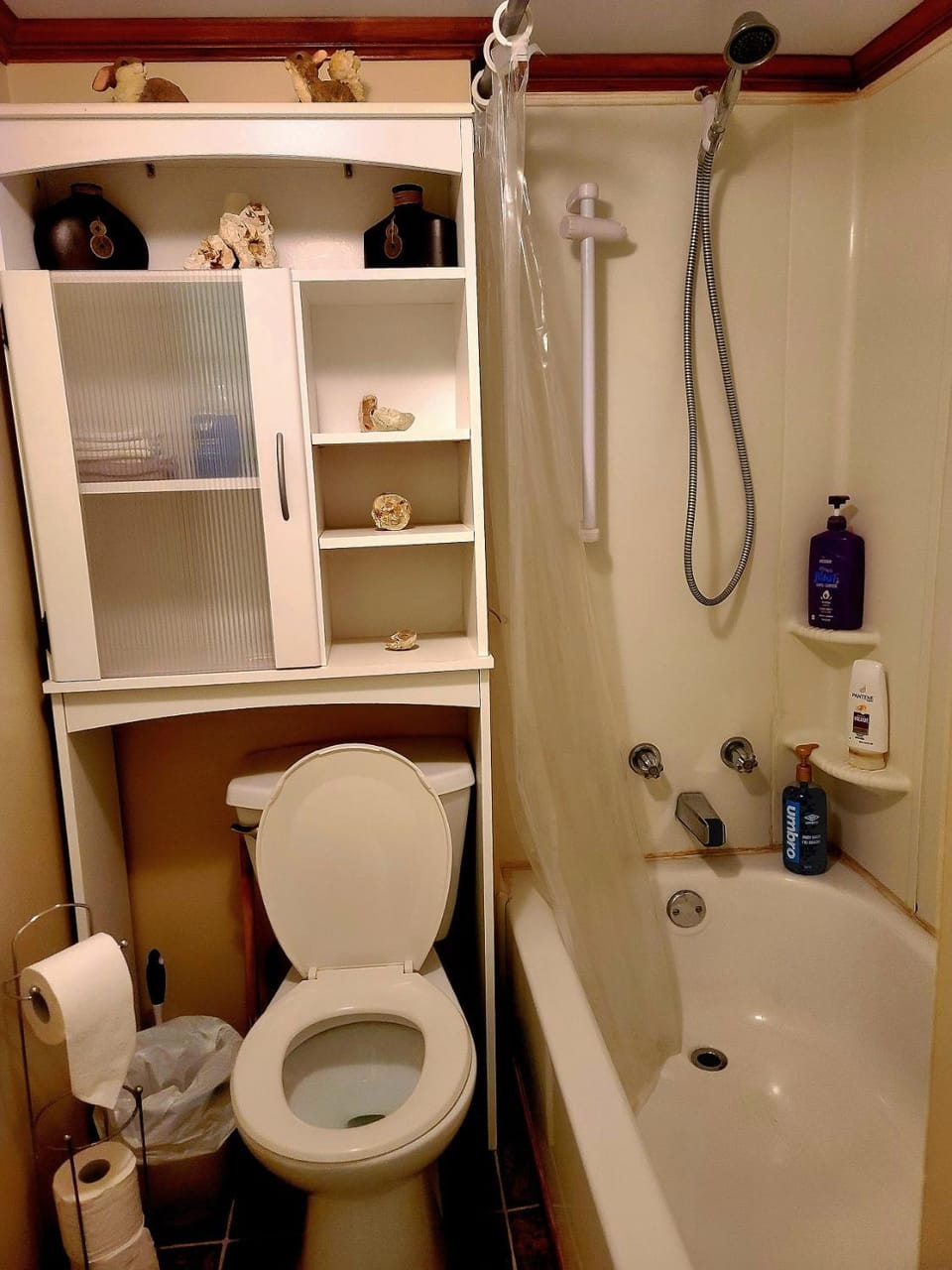 Shower, Toilet, Bathroom, Bath