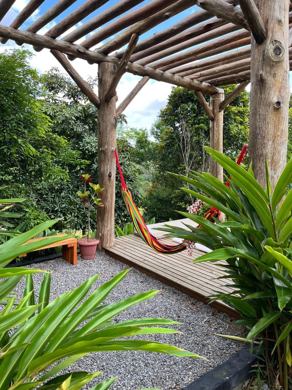 Garden view