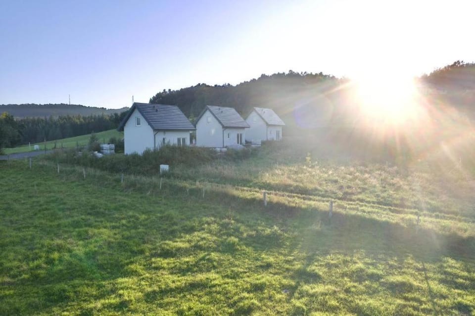 Sosnowe Wzgórze - Wypoczynek w Zagórzu Śląskim 3 House in Lower Silesian Voivodeship