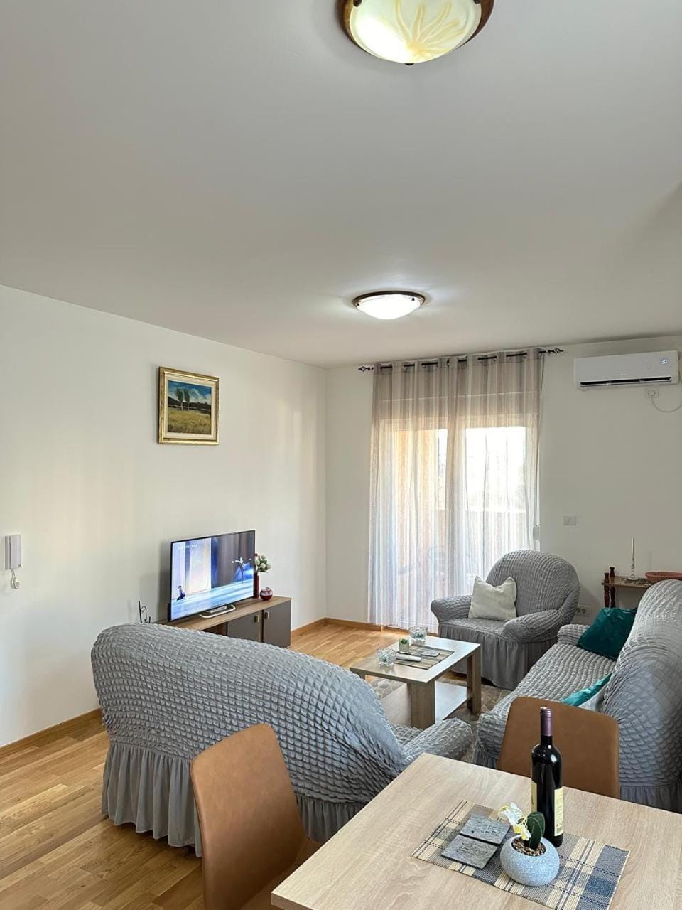 Roomy Lux Apartmant Apartment in Podgorica