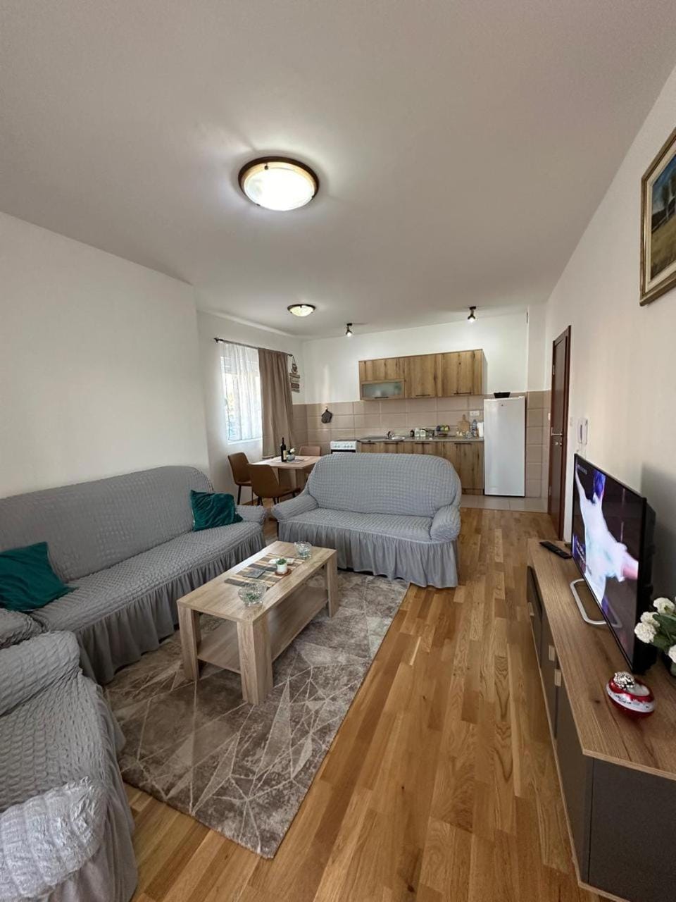 Roomy Lux Apartmant Apartment in Podgorica
