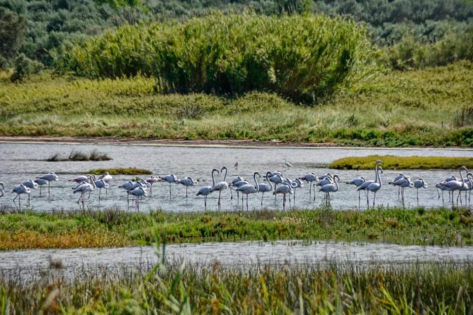 Lake view
