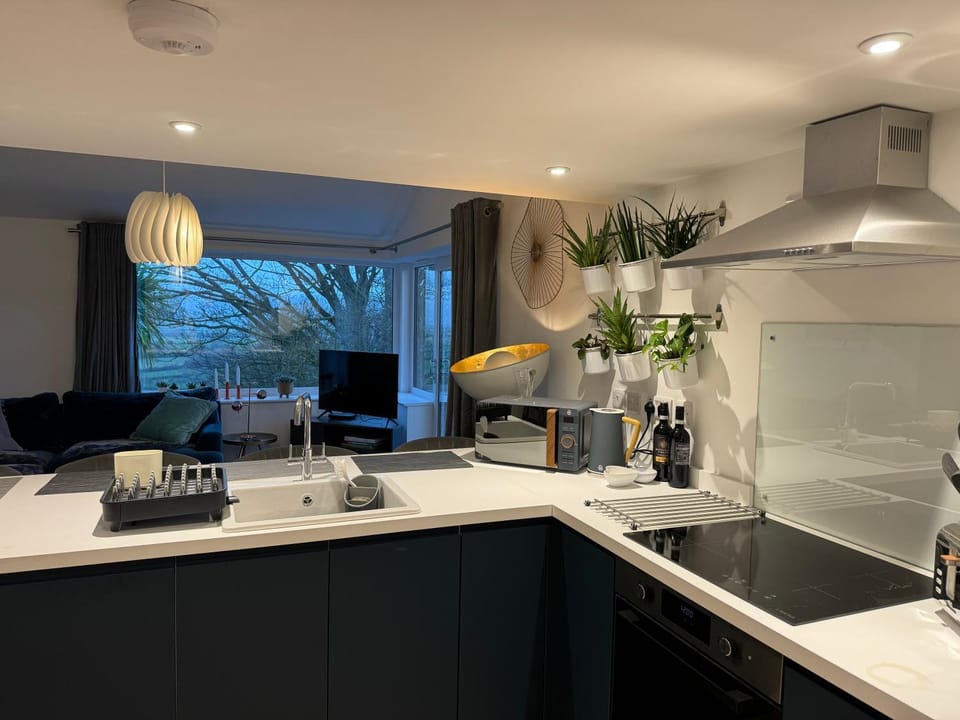 The Lookout Apartment in Sedgemoor