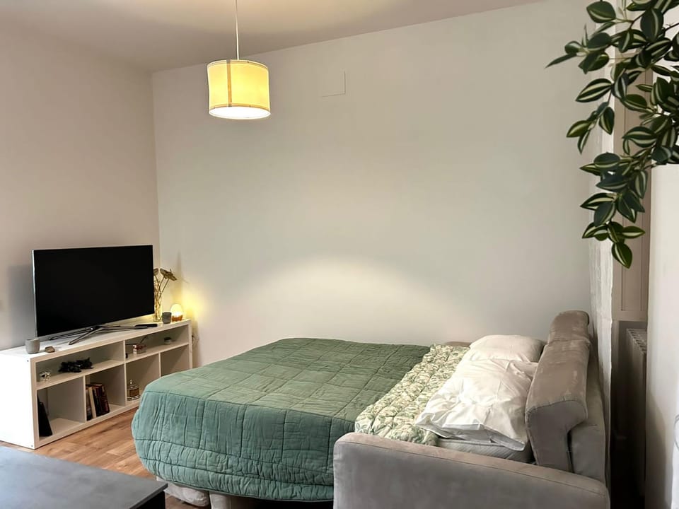 Bed, TV and multimedia, Living room, Photo of the whole room, Seating area, Evening entertainment