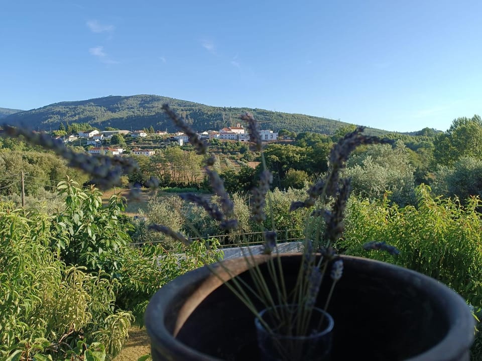 Natural landscape, Garden, Balcony/Terrace, Mountain view