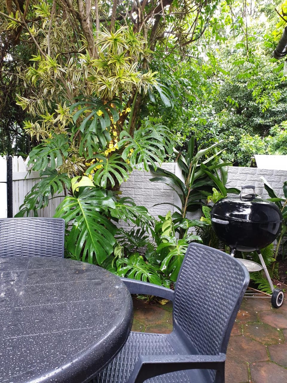 Patio, Garden, Balcony/Terrace, Seating area