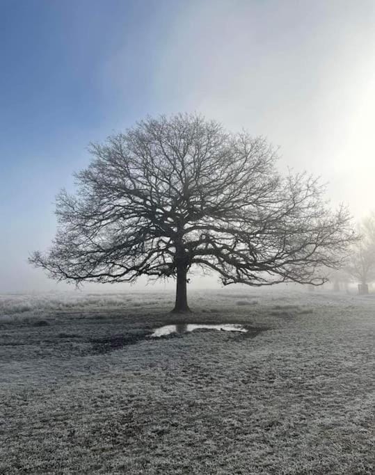 Turing Lodge, near Hampton Court Apartment in London Borough of Richmond upon Thames
