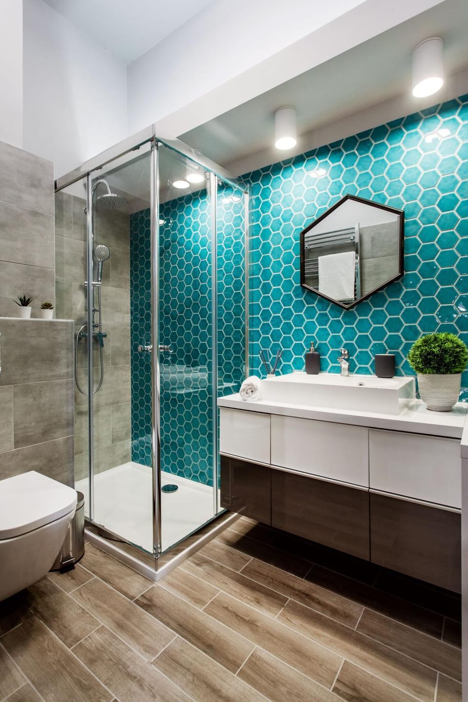 Shower, Toilet, Bathroom