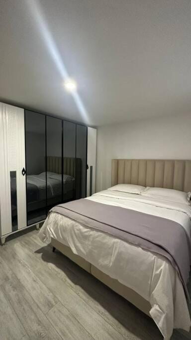 Bed, Photo of the whole room, Bedroom, wardrobe