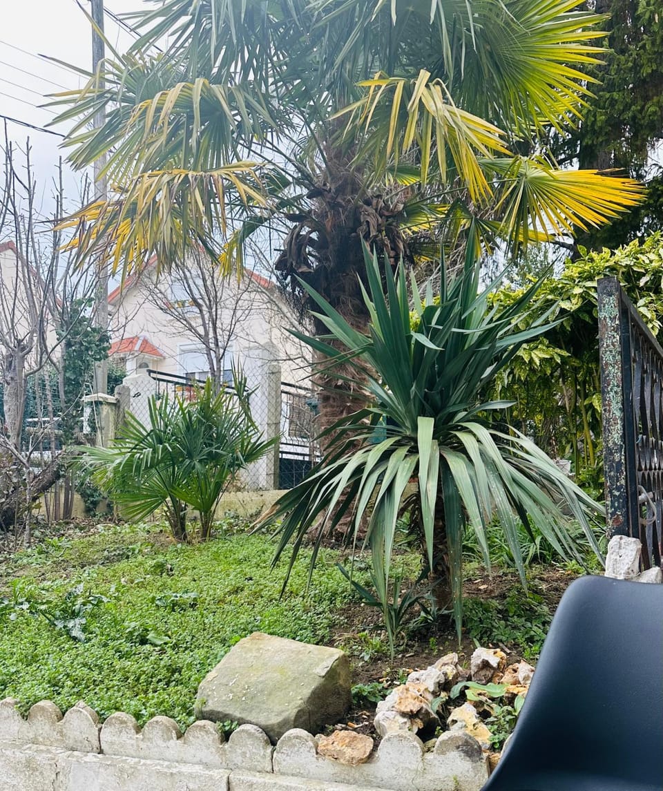 Natural landscape, Garden, Garden view