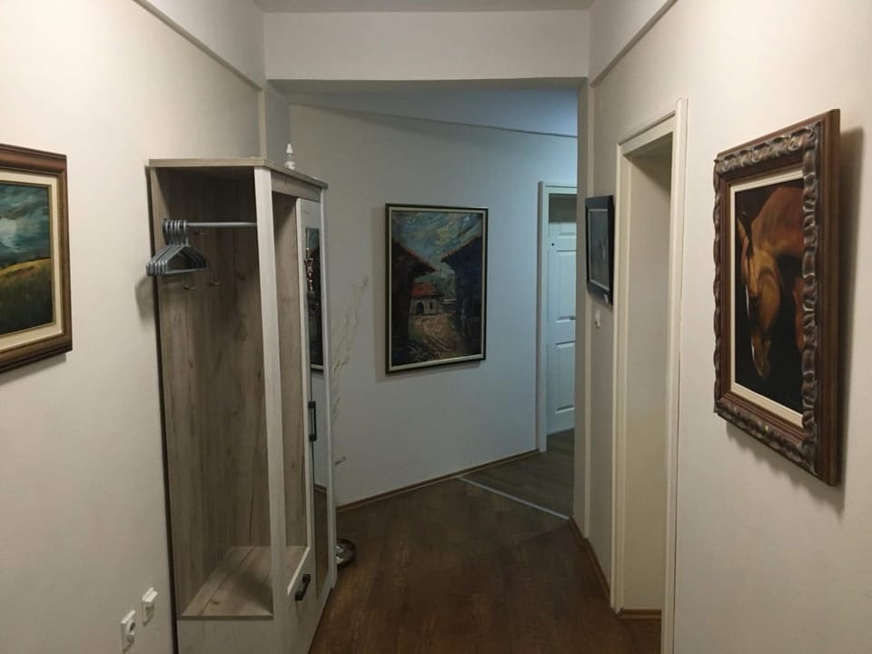 Central Apartments Apartment in Serbia