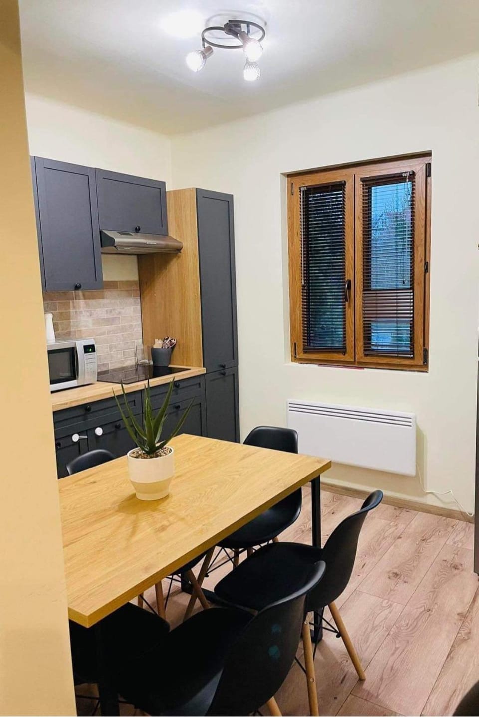 Kitchen or kitchenette, Dining area