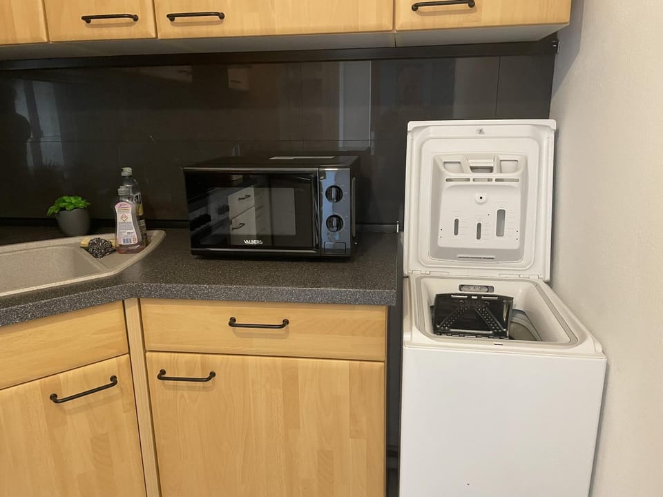 oven, pet friendly, stove, toaster, washing machine