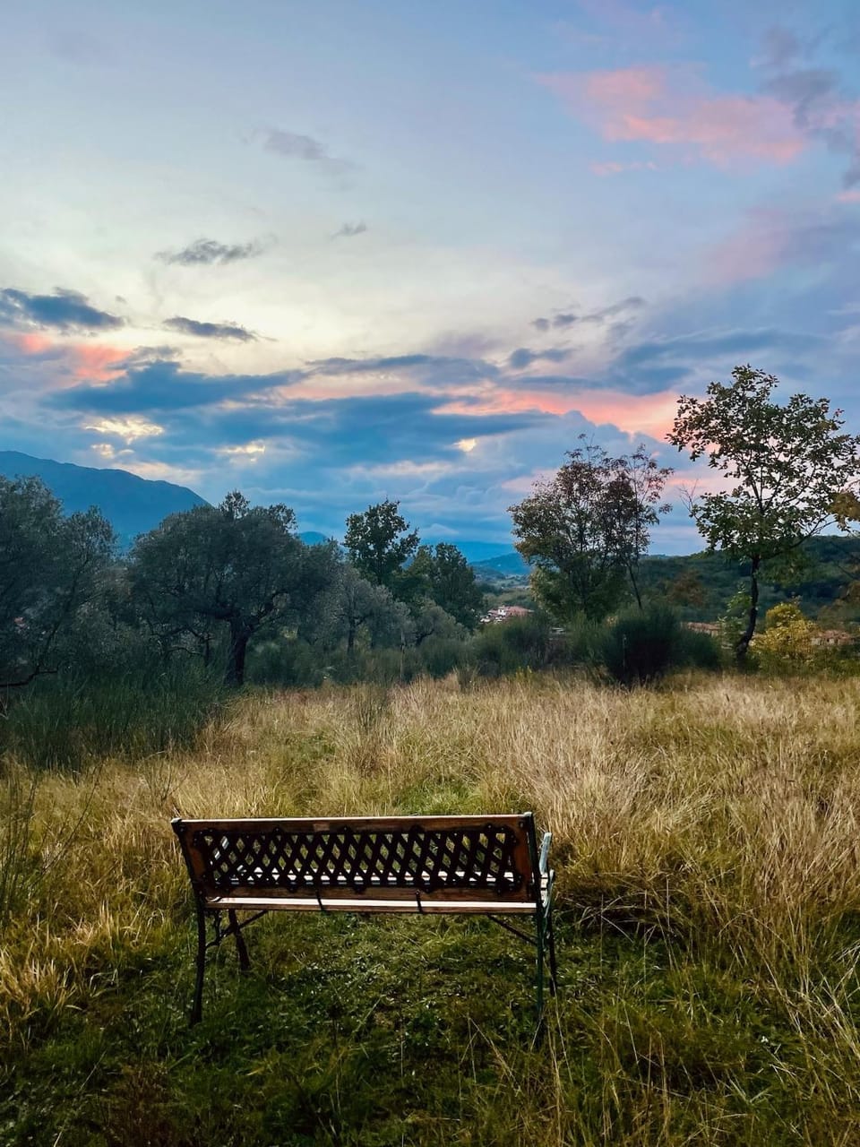 Natural landscape, Garden, View (from property/room), Garden view, Sunset