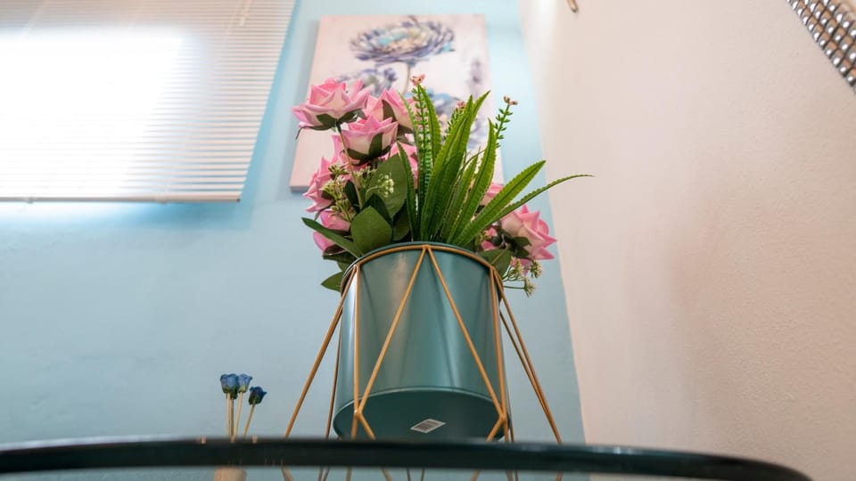 Rowy's appartement Apartment in Willemstad