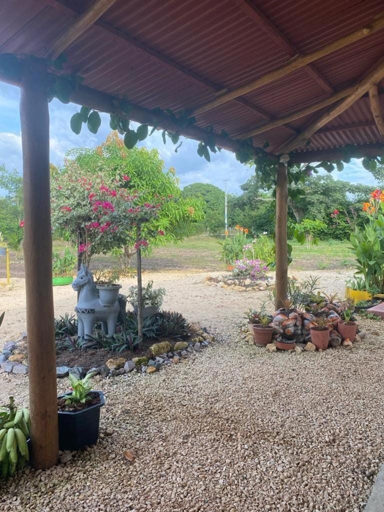 Garden view