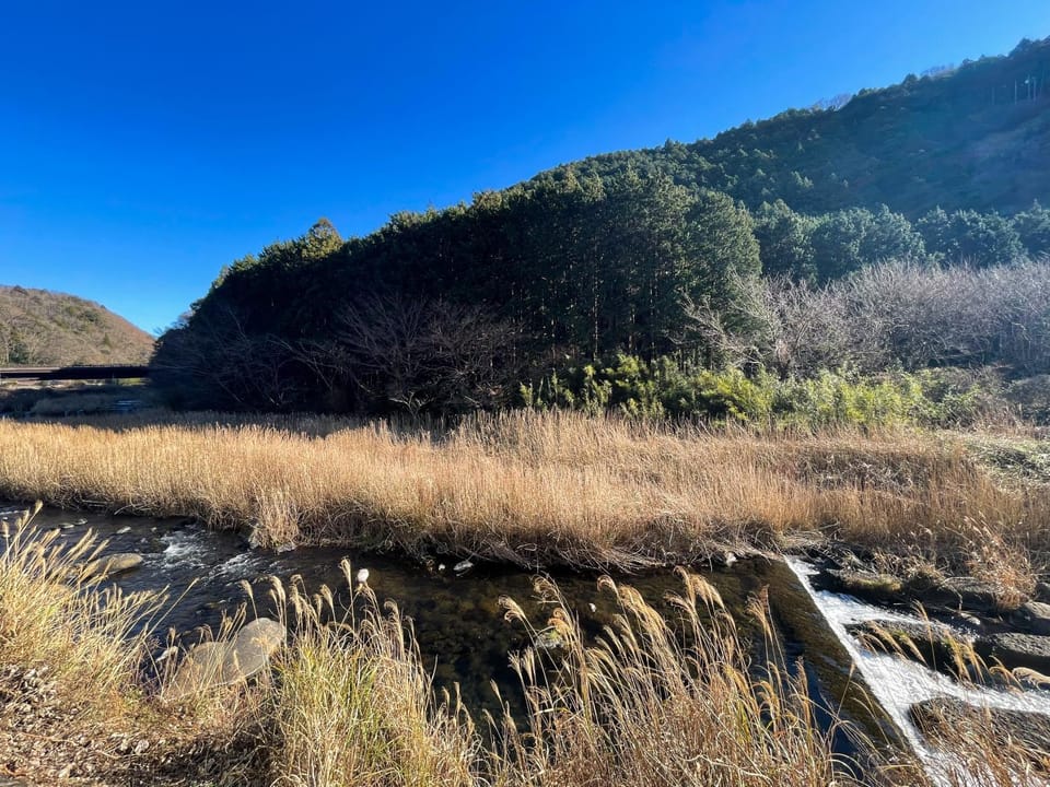 Natural landscape