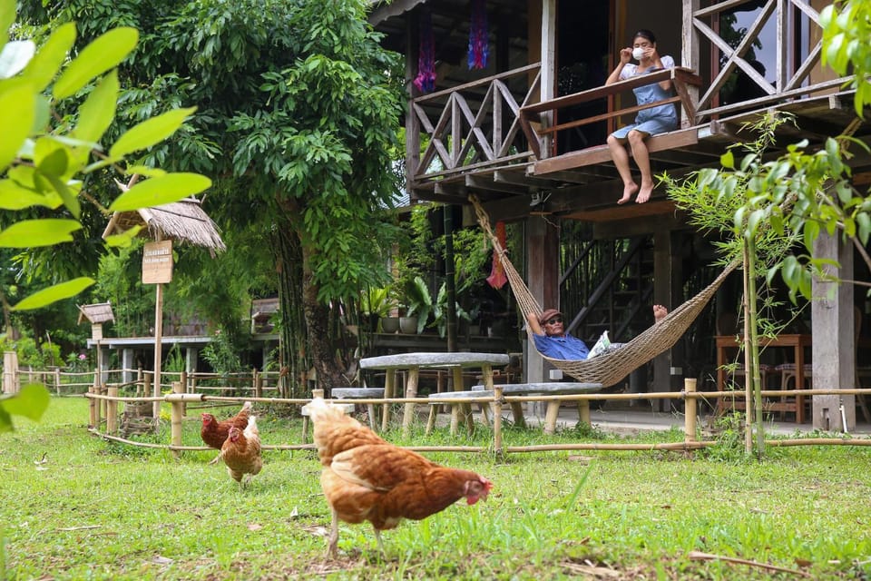 Day, Garden, Animals, Garden view