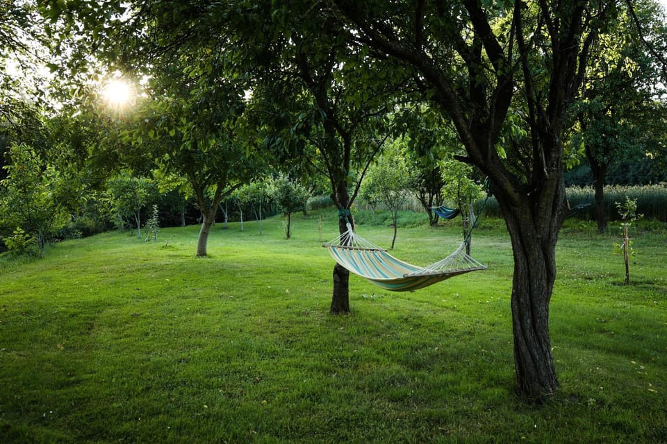 Natural landscape, Garden, Garden view
