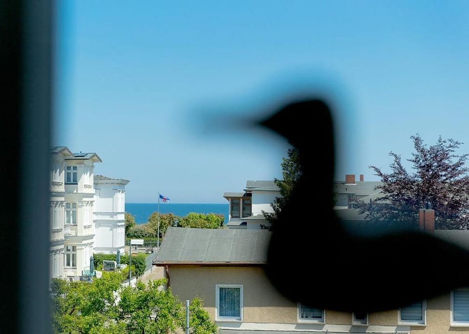 Day, Sea view