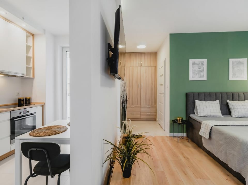 Bed, TV and multimedia, Kitchen or kitchenette, Photo of the whole room, Dining area, Bedroom, minibar, oven, pet friendly, stove
