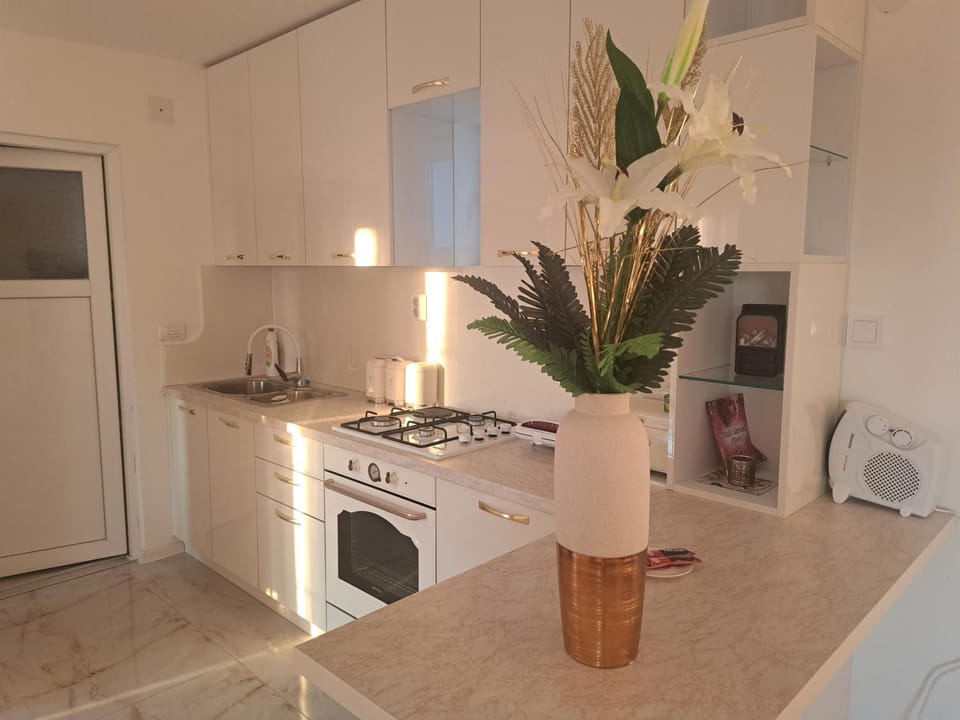 DINA LUX Apartman Apartment in Serbia