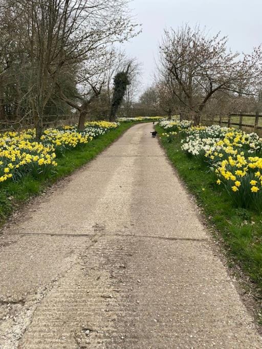 Hazelhurst - close to Bewl Water, Ticehurst Apartment in Rother District